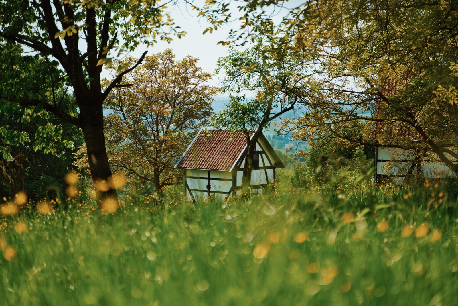 Shottrotter-lifeofpix-369822370903